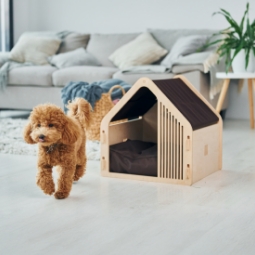 Category image: Dog Houses